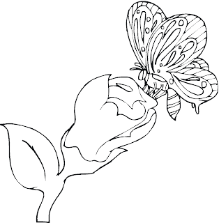 flower and buttwerfly coloring pages,buttwerfly coloring pages