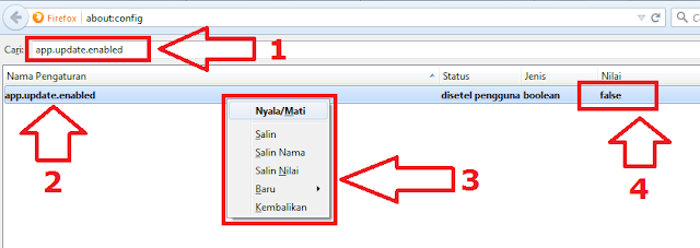 Dua cara menonaktifkan update mozilla firefox 2