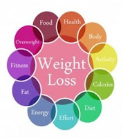 The Top Contenders for the Best Weight Loss Program on the Market