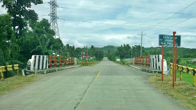 Liling Bridge