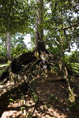 Seychelles 07