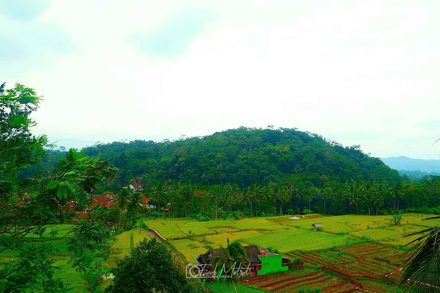 nongkrong di ciamis, tempat hits di ciamis, wisata di ciamis