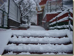 NEU