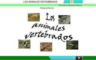  animales vertebrados