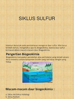   siklus sulfur, siklus sulfur pdf, makalah daur sulfur, daur sulfur ppt, manfaat daur sulfur, tahapan daur sulfur, pengertian sulfur, mengapa dalam daur fosfor tidak melibatkan komponen atmosfer, bakteri nitrosomonas bermanfaat dalam proses penyuburan tanah karena dapat