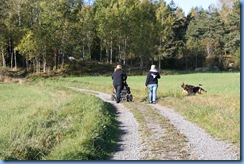 Bild 009