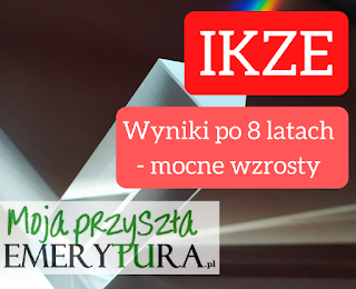 Wyniki IKZE 2020