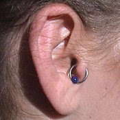 tragus piercing