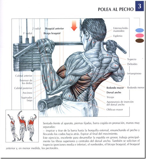 polea-al-pecho