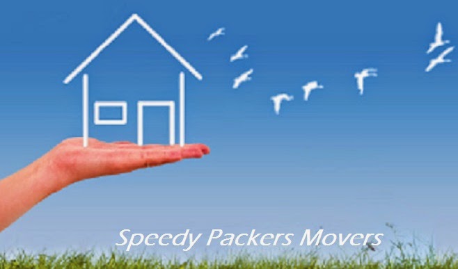  Packers Movers Delhi