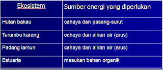 Wilayah pesisir dan sumber energi yang khas