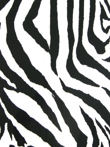Zebra Wallpaper on The Wallpaper Backgrounds       Zebra Wallpaper