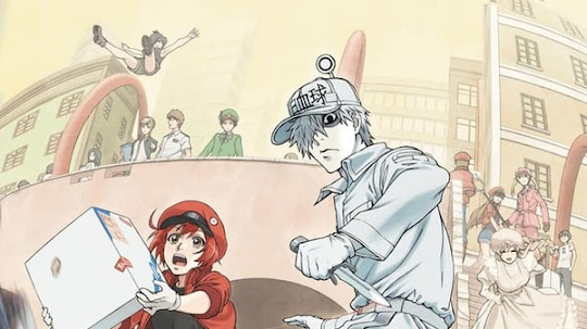 Cells at Work! (2018) (13/13) + Especial [Cast/Jap+Subs] [BDrip 1080p]