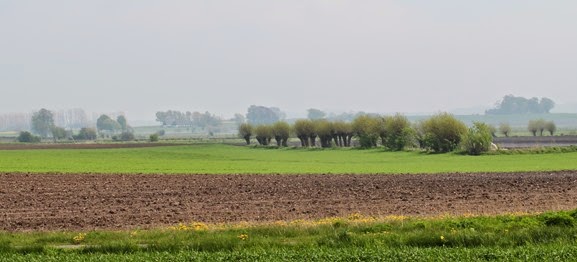 Österlenrunda 003