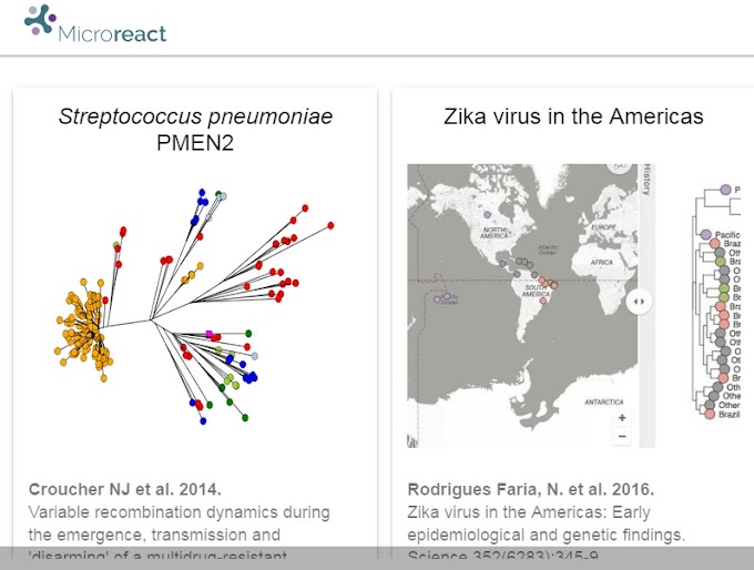 Microreact : Ferramenta online para monitorar surtos de Ebola, Zika e micróbios resistentes a antibióticos