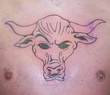 Bull Taurus Zodiac Tattoos