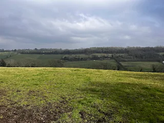 Field in March
