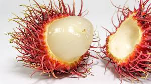 Khasiat Buah Rambutan Bagi Para Pria Siapa yang tak suka buah rambutan? Buah yang mempunyai nama Latin Nephelium lappaceum (susah ya ngucapinnya) memang sangat populer di masyarakat kita. Di samping buahnya enak, juga mudah didapat. Harganya pun bisa menjadi sangat murah, tentunya jika kita membelinya di waktu puncak panen raya. Banyak sekali manfaat dari buah yang satu ini, sebut saja dapat menurunkan tekanan darah tinggi, anti diabetes, menyehatkan kulit, mengatasi rasa sembelit di perut, meningkatkan metabolisme tubuh juga disebutkan sangat baik untuk melawan penyakit kanker. Dan yang tak banyak diketahui adalah manfaat buah rambutan ini untuk para pria. Apa itu? Buah rambutan ini disebut sangat baik untuk meningkatkan kualitas dan kuantitas sperma para pria (Listovative.com). Ini lantaran kandungan vitamin C yang ada pada buah rambutan sangat melimpah. Dalam 100 gr buah rambutan, 40% - nya adalah vitamin C. Jadi bagi para pasangan yang belum mempunyai momongan yang dikarenakan kualitas sperma pasangan pria-nya, buah rambutan ini bisa dijadikan salah satu alternatif untuk meningkatkan kualitas sperma-nya, sehingga kemungkinan untuk segera mendapatkan momongan menjadi lebih besar.  