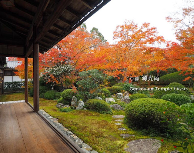 [京都] 源光庵：書院から見える紅葉