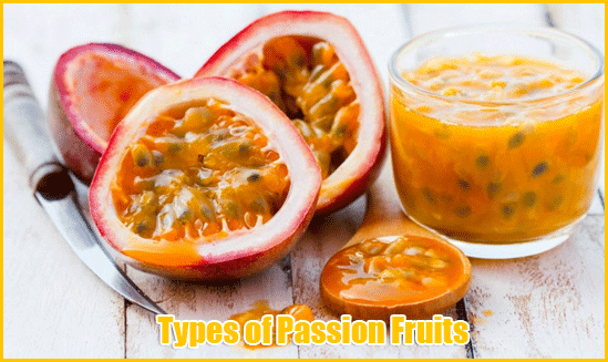 Types-of-Passion-Fruits