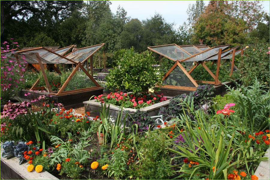 Vegetable Garden Design