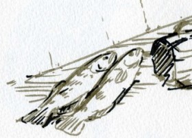 sakana36.jpg