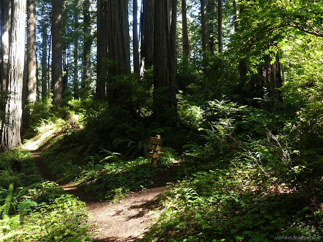 memorial groves with a little trail