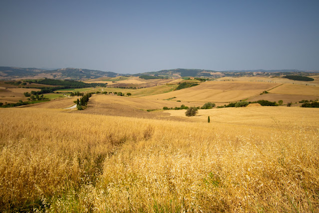 Paesaggio della Val d'Orcia vicino Pienza