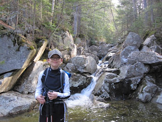 Looking up Gibbs Brook