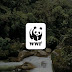 WWF: Η πρόταση για ένα πράσινο πακέτο ανάκαμψης με 125.000 νέες θέσεις εργασίας στην Ελλάδα