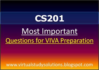 CS201 Most Important Questions for VIVA