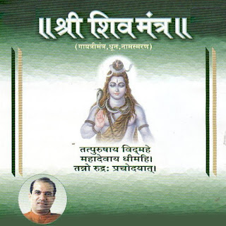 Shri Shiv - Mantra - Suresh Wadkar - [DFLAC - 2001] [16 Bit-44.1 kHz]