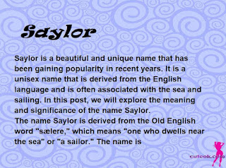 meaning of the name "Saylor"