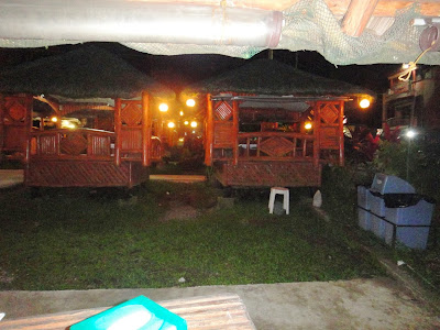 Nipa huts 