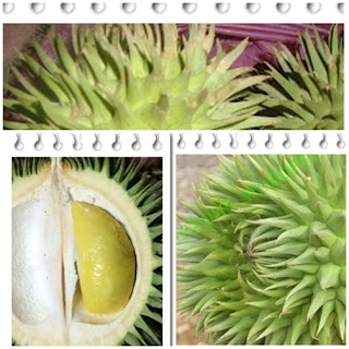 Mengenal buah lai si durian hutan kalimantan