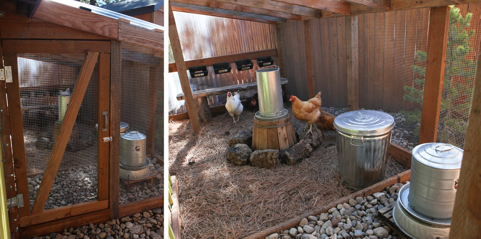 The next best thing in keeping your coop healthy, is keeping it safe!