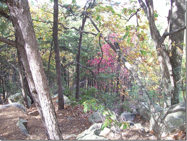 2010-10-30 004
