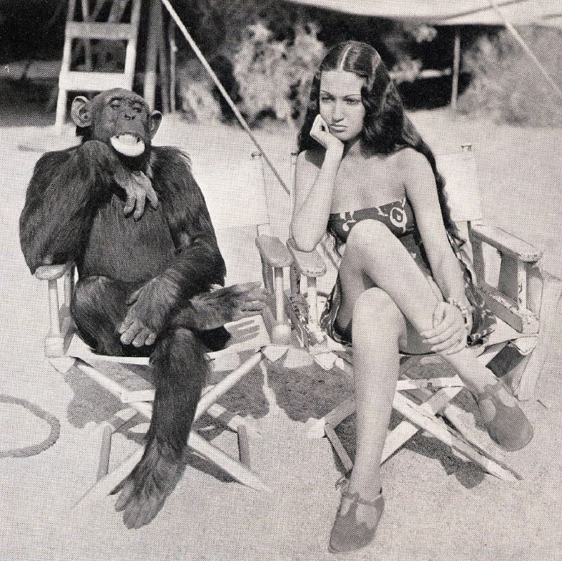 Monkey Movie Star