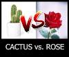 The CACTUS and The ROSE