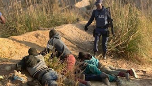 67 arrested following rapes, armed robbery at music video shoot in Krugersdorp