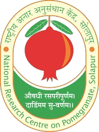 National Research Centre on Pomegranate (NRCP)