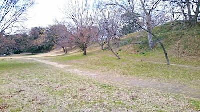 ハレマチビヨリ(藤井寺市)