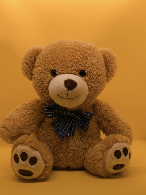 teddy bear