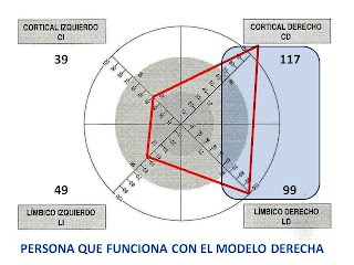 Cerebro - Predominio hemisferio derecho