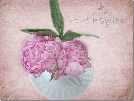 Peonies_Inspire