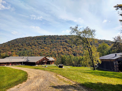 A gravel road curves through the lower left corner of the scene. The wooden train shed is to the right and the original one-story section of the Lumber Museum's visitor center is to the left. A hillside that is just starting to show tinges of orange is the backdrop of the photo.