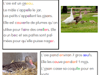 Texte Sur Les Animaux De La Ferme