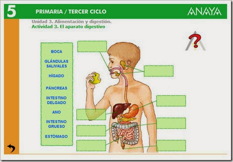 http://www.edistribucion.es/anayaeducacion/pro/8405112/datos/05rdi/ud03/03.htm