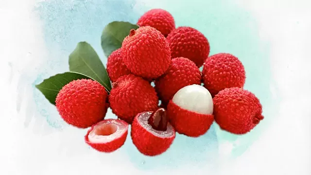 litchi fruit benefits