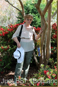 IMG_0054